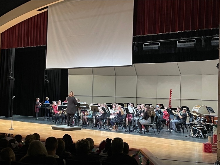 MS Band